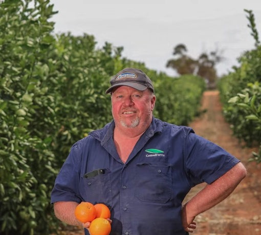 Photograph of a man holding oranges